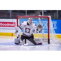 Red Deer Rebels goaltender Kyle Kelsey