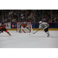 Hershey Bears' Joe Snively in action