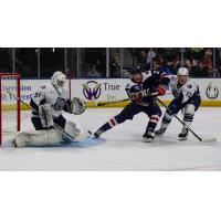 South Carolina Stingrays forward Ian Mackey battles against the Jacksonville Icemen