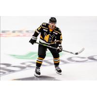 Wheeling Nailers forward Cédric Desruisseaux