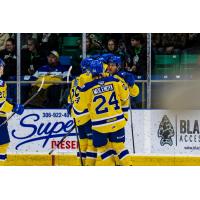 Saskatoon Blades exchange congratulations after a goal