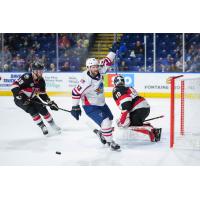 Springfield Thunderbirds' Nathan Walker and Belleville Senators' Jiri Smejkal and Mads Sogaard in action