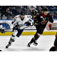 Worcester Railers' Brendan Robbins and Adirondack Thunder's Yushiroh Hirano in action