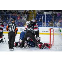 Belleville Senators battle the Springfield Thunderbirds