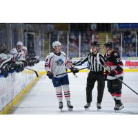 Springfield Thunderbirds' Mackenzie MacEachern and Belleville Senators' Maxence Guenette on game night