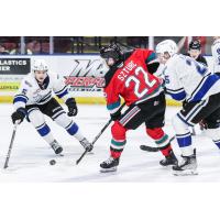 Victoria Royals' Austin Zemlak versus Kelowna Rockets' Gabriel Szturc