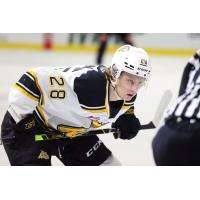 Forward Ben Thornton with the Brandon Wheat Kings