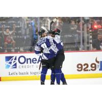 Tucson Roadrunners celebrate win