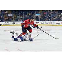 Springfield Thunderbirds left wing Zachary Bolduc