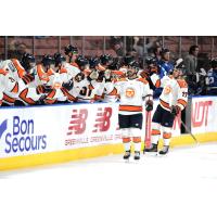 Greenville Swamp Rabbits exchange high fives