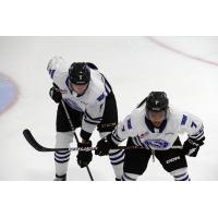 Wenatchee Wild forward Turner McIntyre (right)