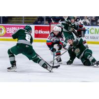 Kelowna Rockets battle the Everett Silvertips