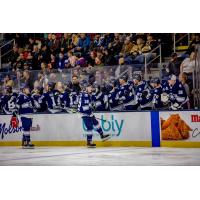 Worcester Railers' Blade Jenkins congratulates team