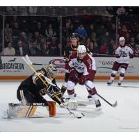 Peterborough Petes' Lefebrve Surzycia in action