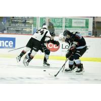 Vancouver Giants battle the Portland Winterhawks