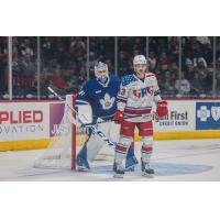 Toronto Marlies' Dennis Hildeby and Grand Rapids Griffins' Carter Mazur on game night