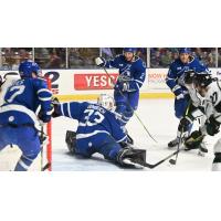 Wichita Thunder's Trevor Gorsuch in action