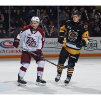 Peterborough Petes left wing Quinton Pagé (left) vs. the Brantford Bulldogs