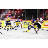 Saskatoon Blades battle the Moose Jaw Warriors