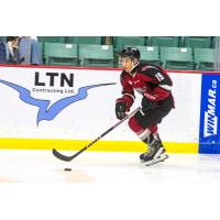 Vancouver Giants' Cameron Schmidt in action