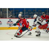 Springfield Thunderbirds forward Jamieson Rees vs. the Hartford Wolf Pack