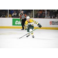 Sioux City Musketeers forward Kaden Shahan