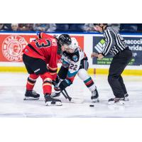 Kelowna Rockets face off with the Prince George Cougars