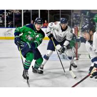 Worcester Railers forward Andrei Bakanov (right) vs. the Maine Mariners