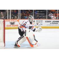 Lehigh Valley Phantoms goaltender Felix Sandström