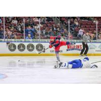 Allen Americans' Hank Crone in action