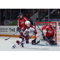 Peterborough Petes' Braydon McCallum on the ice