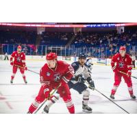 Allen Americans defenseman Eric Williams vs. the Tulsa Oilers