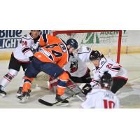 Worcester Railers' Anthony Callin in action