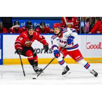 Owen Sound Attack's Servác Petrovský versus Kitchener Rangers' Tanner Lam