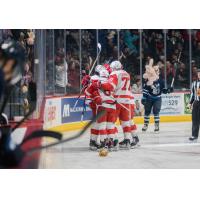 Grand Rapids Griffins celebrate win