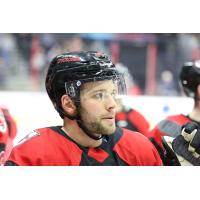 Adam Berg with the Cincinnati Cyclones