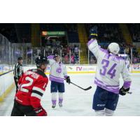 Springfield Thunderbirds' Will and Sam Bitten celebrate win