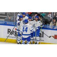 Wichita Thunder celebrates win