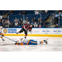 Belleville Senators centre Zack Ostapchuk vs. the Bridgeport Islanders