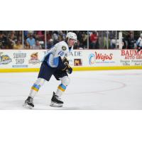 Toledo Walleye forward Trenton Bliss