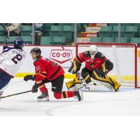 Goaltender Madden Mulawka with the Prince George Cougars