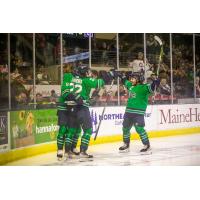 Maine Mariners celebrate