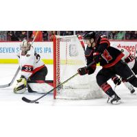 Goaltender Leevi Merilainen with the Ottawa Senators