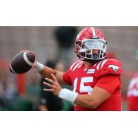 Calgary Stampeders quarterback Tommy Stevens