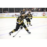 Wheeling Nailers' David Jankowski in action