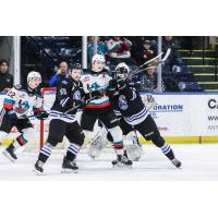 Kelowna Rockets battle the Wenatchee Wild