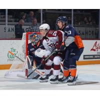 Peterborough Petes' Braydon McCallum battles Flint Firebirds' Nathaniel Day and Braeden Kressler