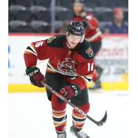 Tucson Roadrunners forward Ryan McGregor