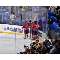 Springfield Thunderbirds on game night