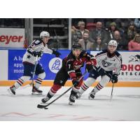 Vancouver Giants' Ty Halaburda and Tri-City Americans' Jordan Gavin and Jake Sloan on the ice